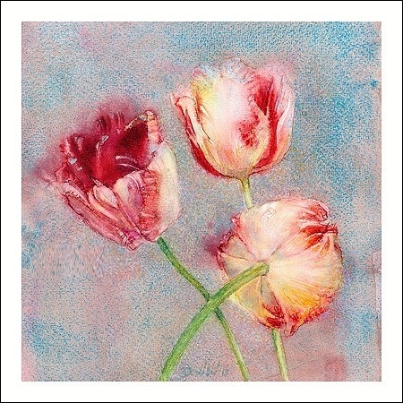 Rembrandttulp - Dorry van de Winkel 