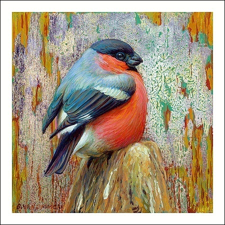 Goudvink - Erik van Ommen 