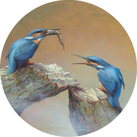 Voerende ijsvogels - Erik van Ommen - Art cirkel