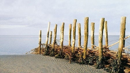 Wad - Peter van der Ploeg