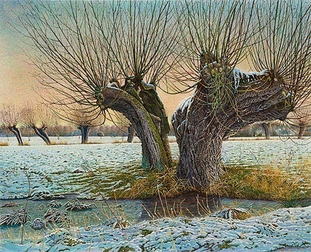 Knotwilg in de winter - Drago Pecenica