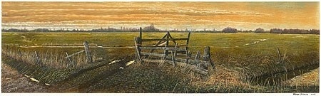 Polder Arkemheen bij Nijkerk - Drago Pecenica
