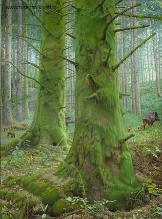 Joke Frima - Het mossenbos - Outlet