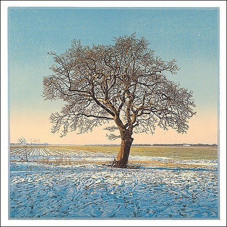 Solitaire Eik - Siemen Dijkstra