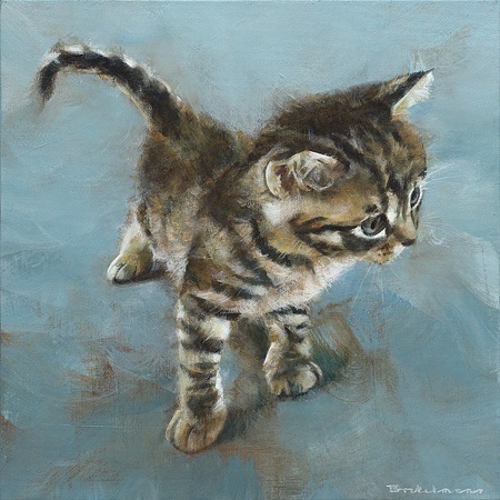 Kitten giclee - Dorus Brekelmans