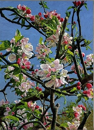 Appelbloesem op Ewsum