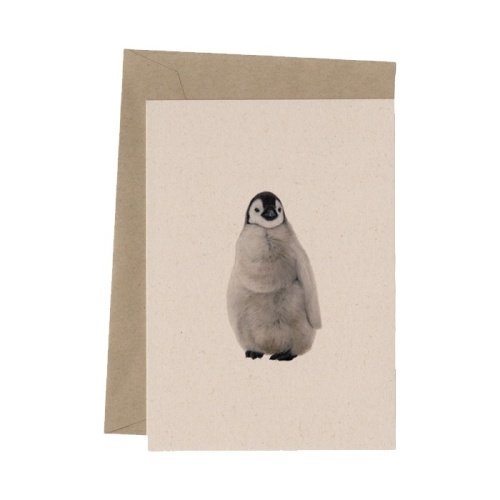 Keizerspinquin - Lonneke Grimbergen