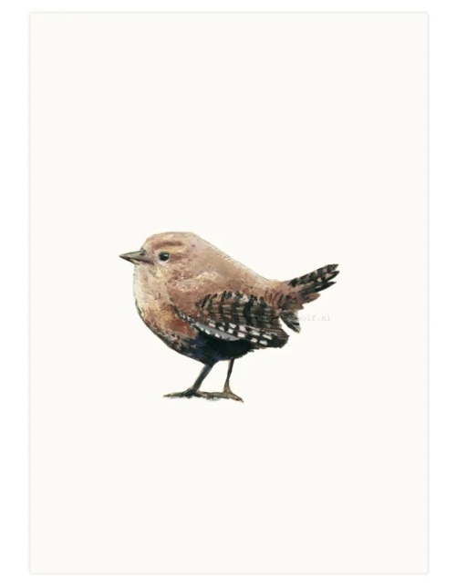 Print Winterkoninkje Print A4