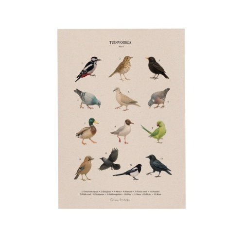 Print A4 Tuinvogels deel 2 