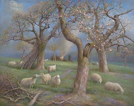 Schapen in de boomgaard - Patrick Creyghton