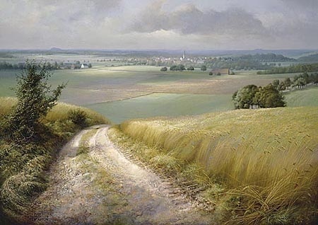 Zomer in de Maasvallei - Patrick Creyghton