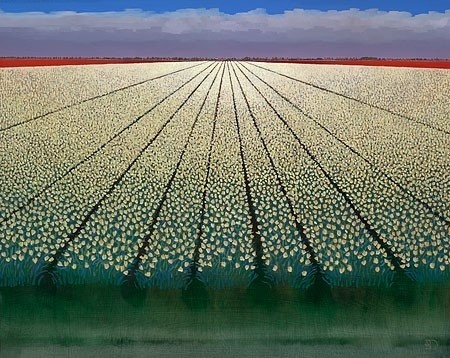 White tulips - Ton Dubbeldam