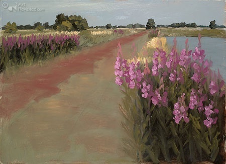 Wilgenroosjes Brandenmeer - Dick Bakker