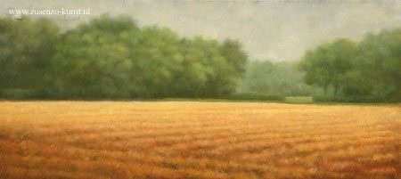 Gemaaid veld - Hans Dolieslager