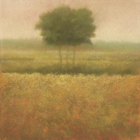 Geel veld - Hans Dolieslager 