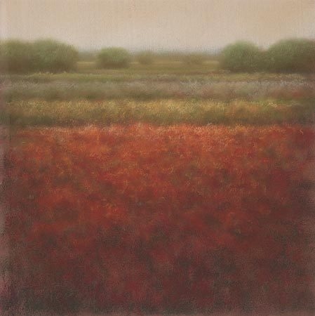 Rood veld - Hans Dolieslager 