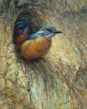 Ijsvogelnest - Erik van Ommen