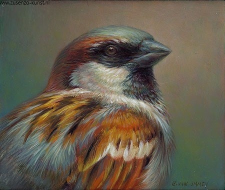 Huismus - Erik van Ommen