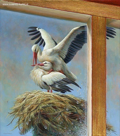 Ooievaars op nest - Erik van Ommen 