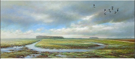 Kievitten - Erik van Ommen 