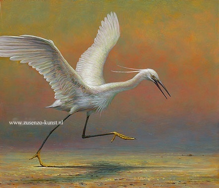 Kleine zilverreiger - Erik van Ommen 
