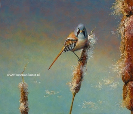 Baardmannetje - Erik van Ommen