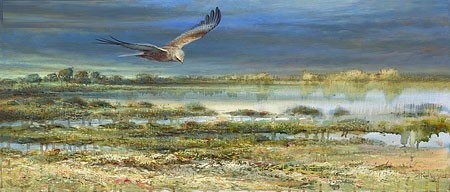 Bruine Kiekendief - Erik van Ommen 