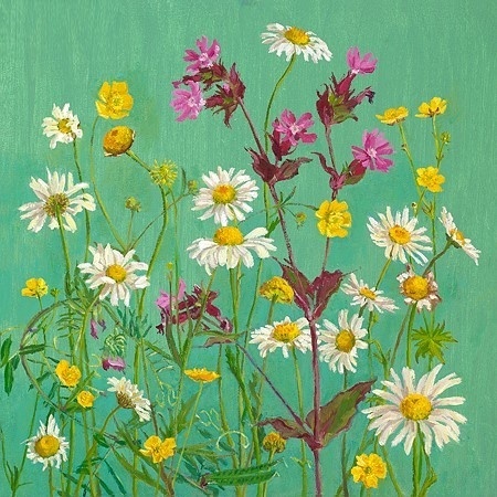 Wilde bloemen 1 - Claartje van der Linden 