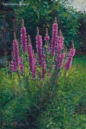 Kattenstaarten - Eric de Vree