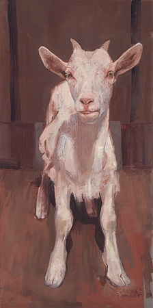 Geitje 1 - Pieter Pander