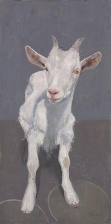 Geitje 2 - Pieter Pander