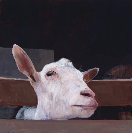 Geitenkop 3 - Pieter Pander