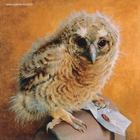 Tawny owl chick - Anne Shingleton