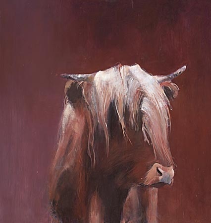 Schotse Hooglander rood - Hiske Wiersma