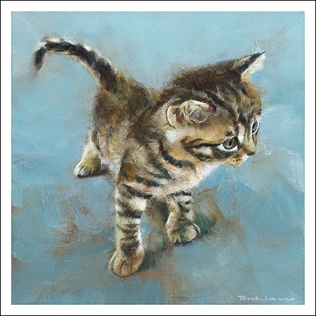 Kitten - Dorus Brekelmans