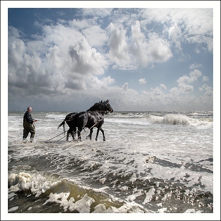 Landscape 11 - Saskia Boelsums