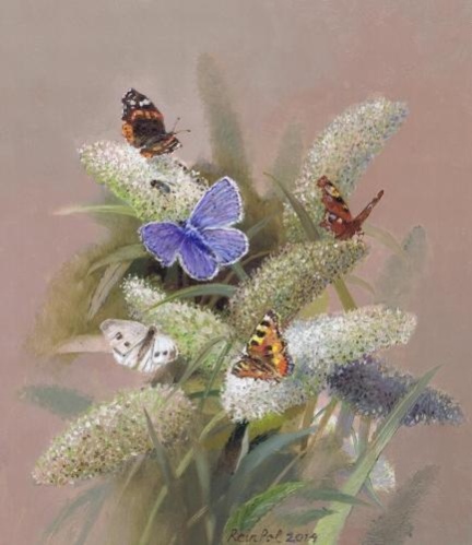 Korting op alle giclees van Rein Pol