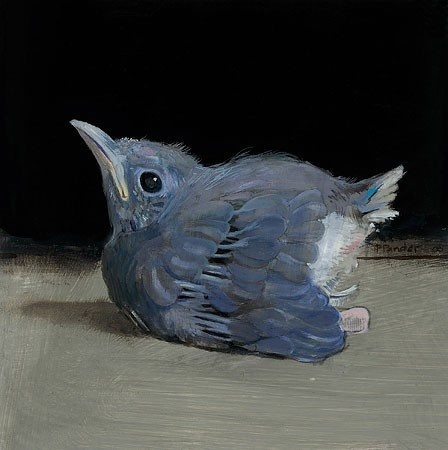 Jonge lijster van Pieter Pander