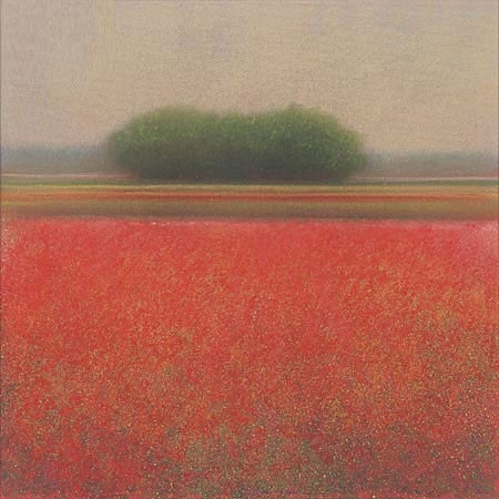 Rood veld van Hans Dolieslager