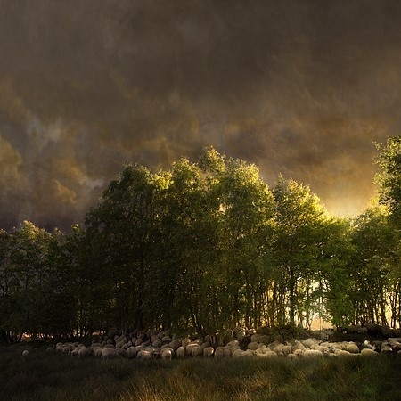 Landscape #110 van Saskia Boelsums