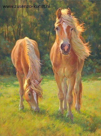 Haflingers van Geke Steenmetz
