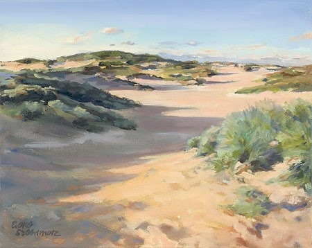 Duinen bij avond van Geke Steenmetz