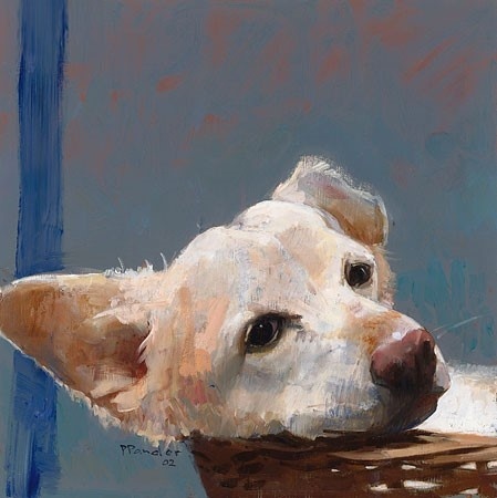Robby, portrait van Pieter Pander