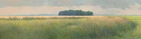 Een Gronings eiland van Peter Durieux
